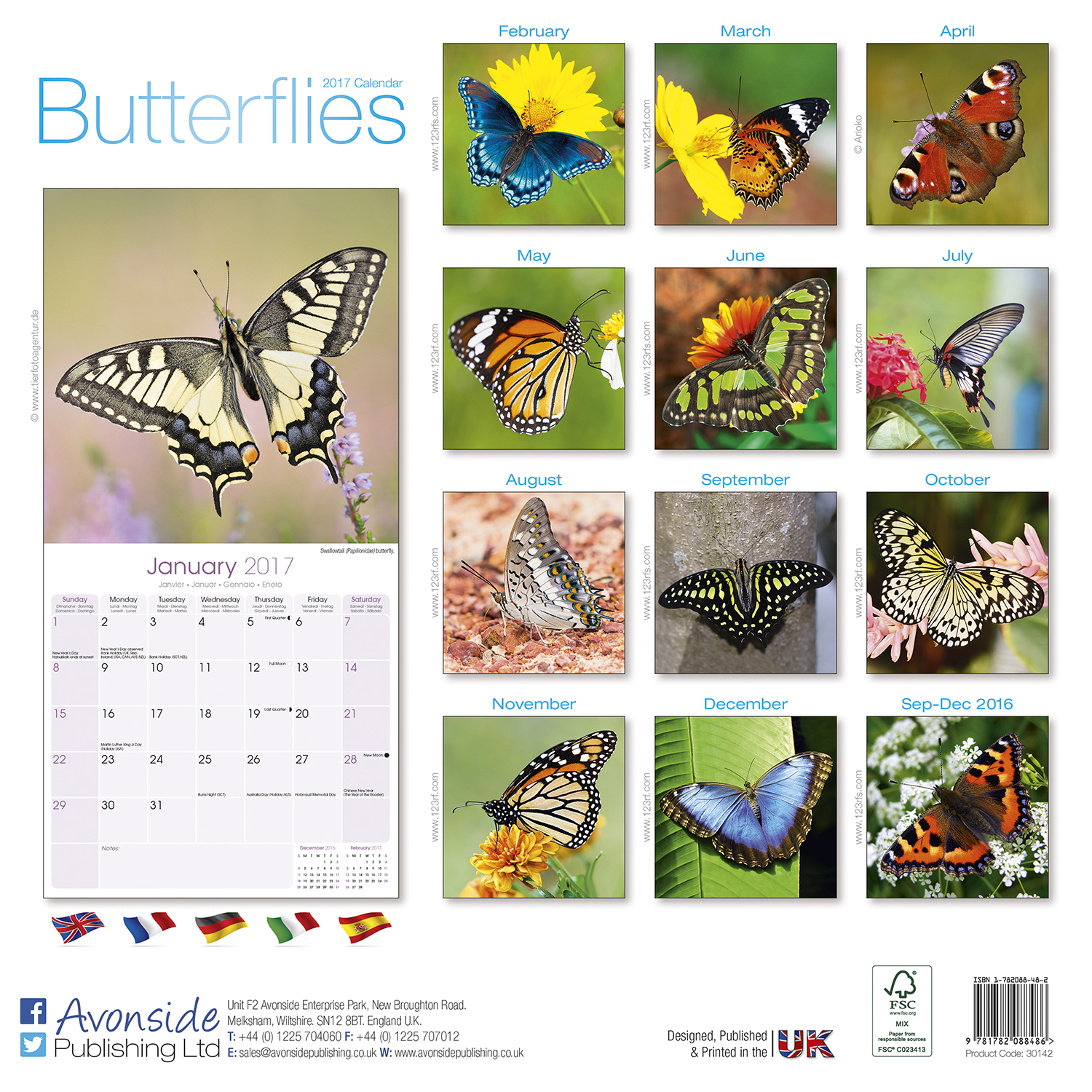 Butterflies Calendar 2017 30142-17 | Birds &amp; Butterflies