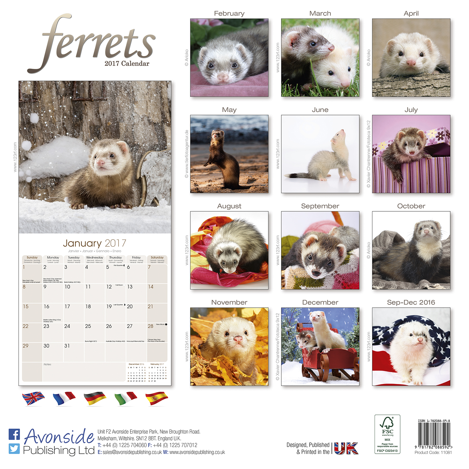 Ferrets Calendar 2017 11081-17 | Pets | Animals