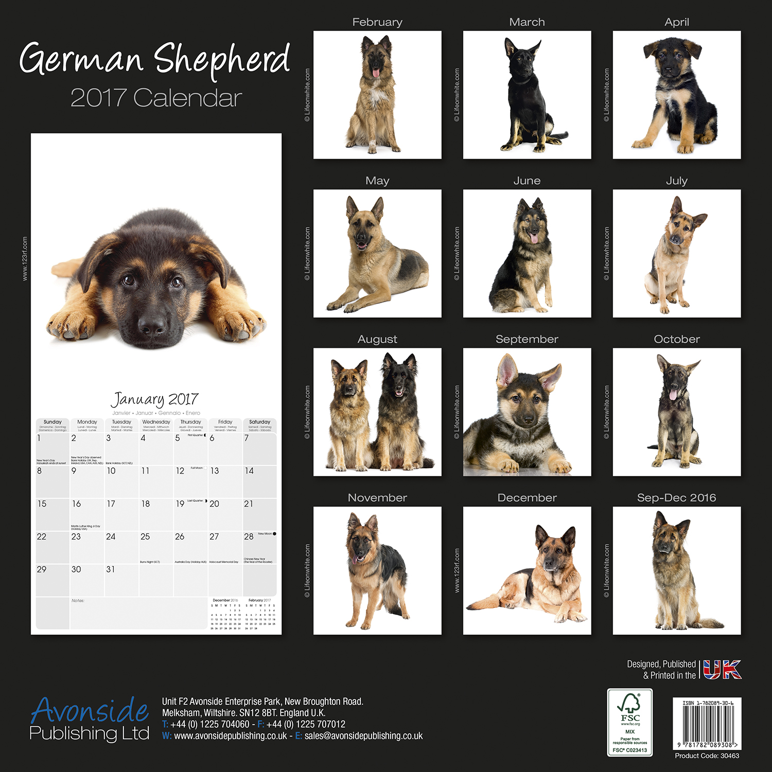 german shepherd puppy price range german shepherds calendar 2017 30463 17 german shepherd breeds german shepherd puppy price range german shepherds calendar 2017 30463 17 german shepherd breeds