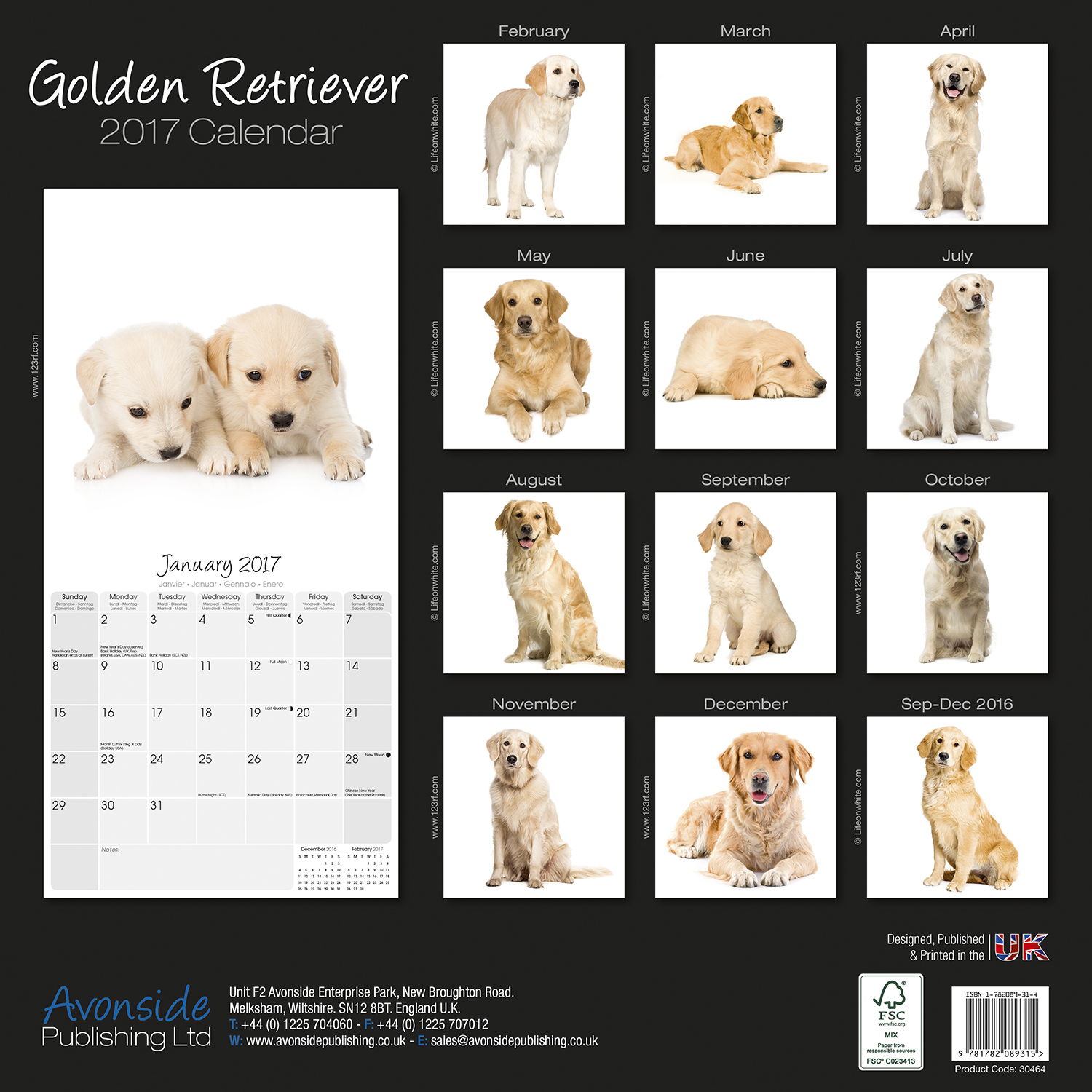 golden retriever puppy price range golden retrievers calendar 2017 30464 golden retriever breeds golden retriever puppy price range golden retrievers calendar 2017 30464 golden retriever breeds