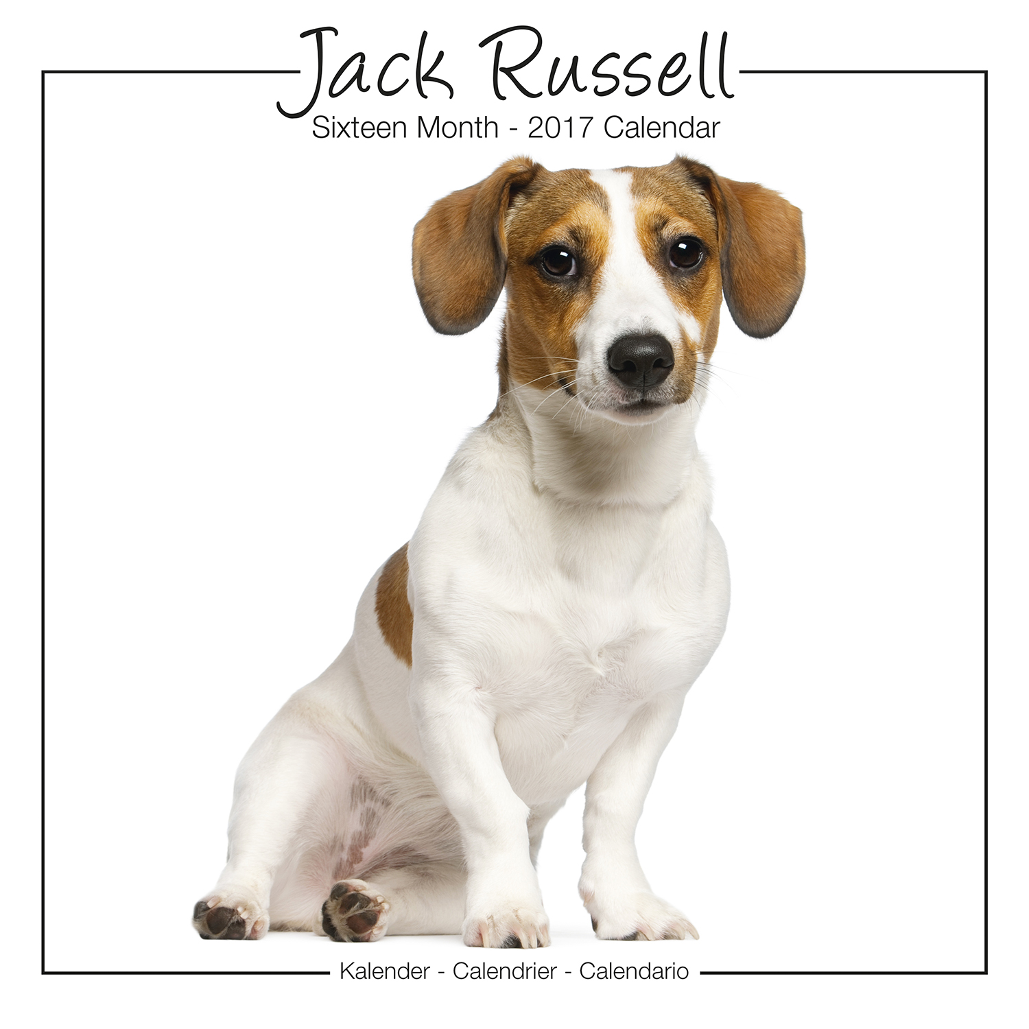 Jack Russell Studio Range Calendar 2017 Pet Prints Inc Jack Russell Studio Range Calendar 2017 Pet Prints Inc
