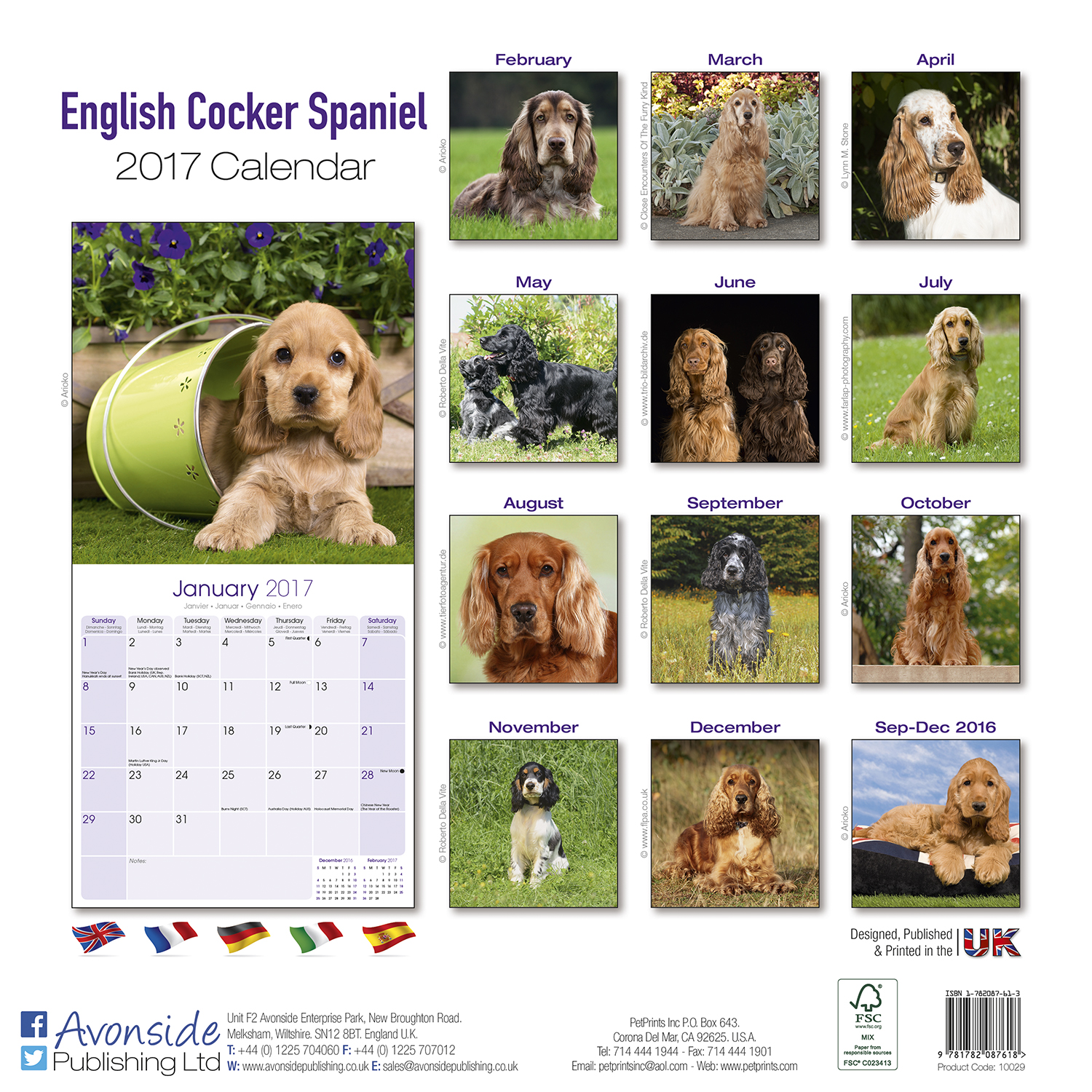 English Cocker Spaniel Calendar 2017 Pet Prints Inc.