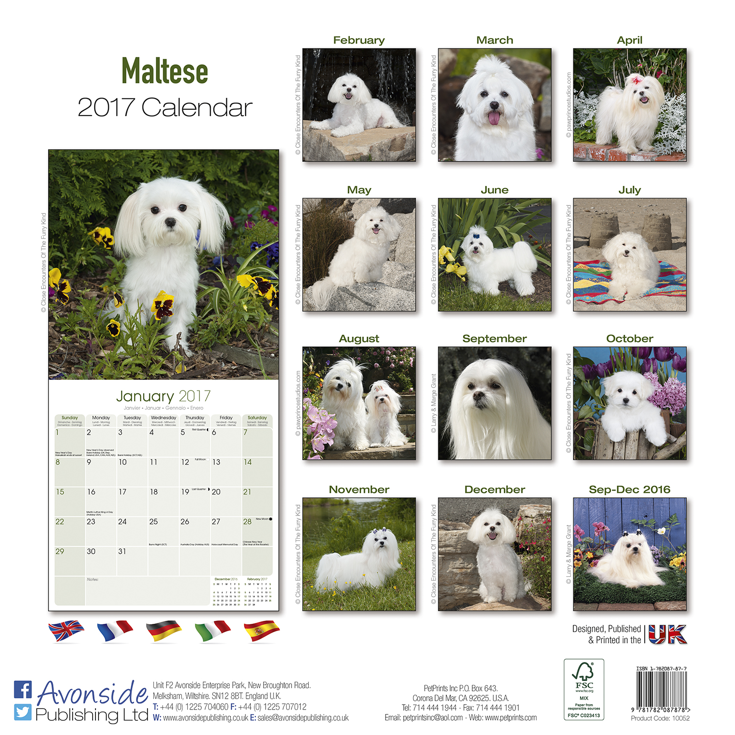 Maltese Calendar 2017 Pet Prints Inc.