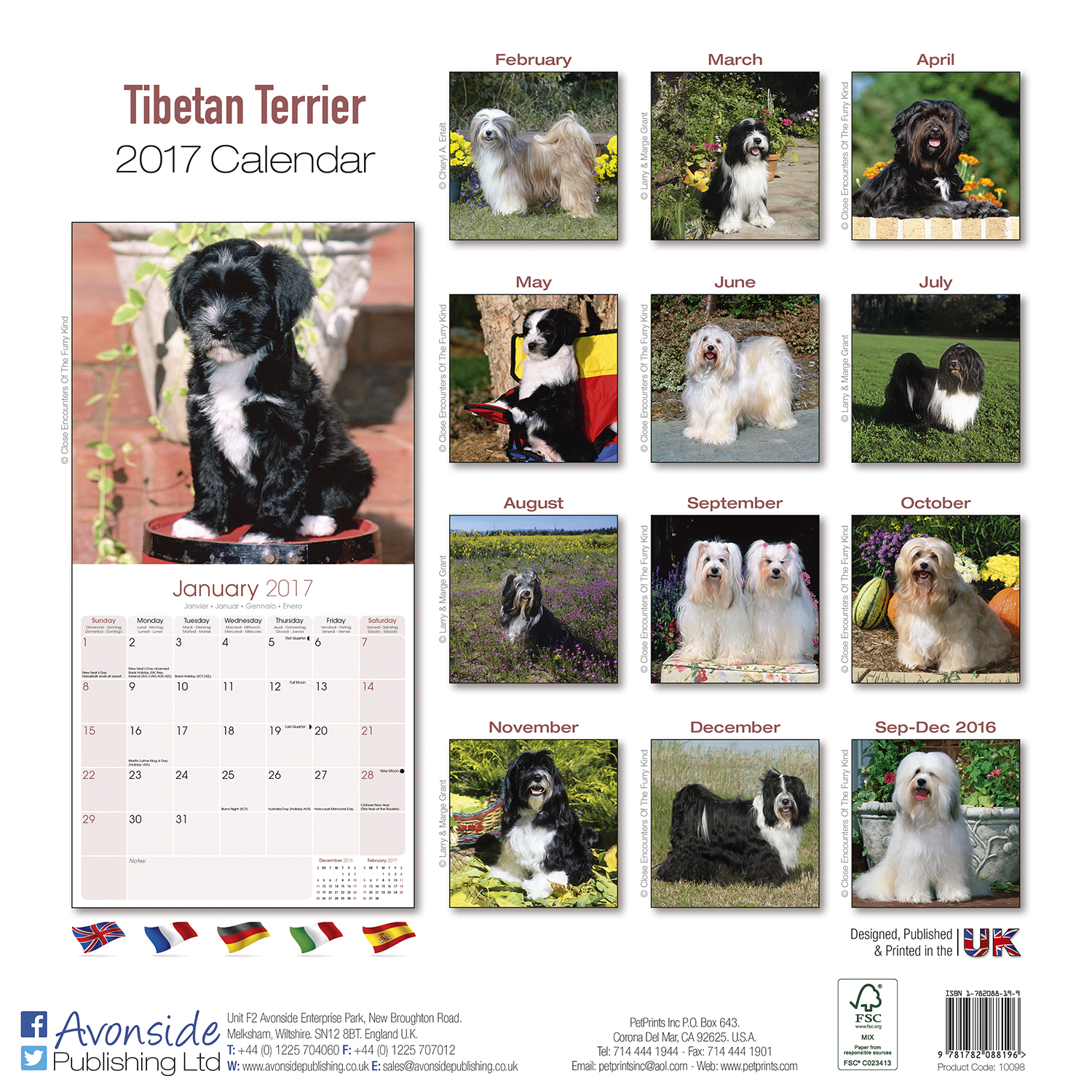 Tibetan Terrier Calendar 2017 Pet Prints Inc.